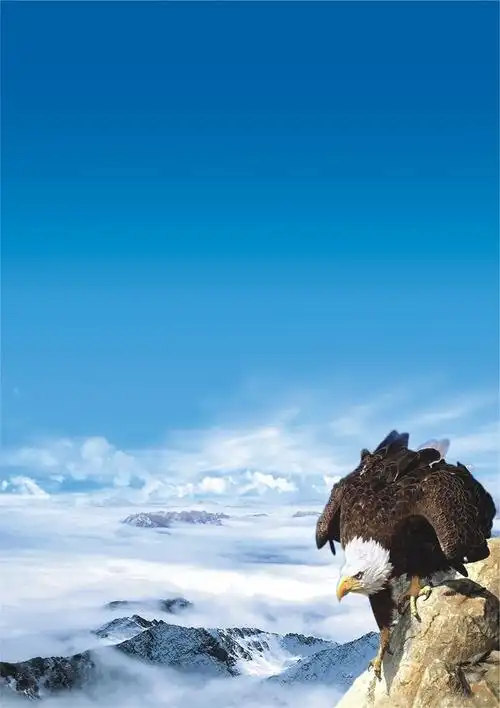 佛学与人生智慧心得体会